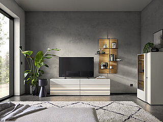 Wohnwand + Hängepaneel