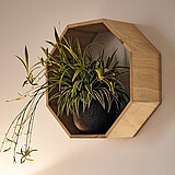 Schlafzimmer Jovanna Bett mit Kopfteil Holzoptik Detail Kopfteil von Musterring