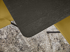 Detail Esstisch 6801, Wildeiche Moor