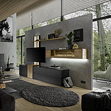 Trevio: Wohnkombination V28, ca. B 332, H 207, T 51 cm, Kerneiche Umato / Lack anthrazit