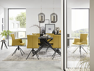 Esstisch 6801, ca. 200 x 100, H 76 cm, Gestell: pulverbeschichtet schwarz, Wildeiche Moor